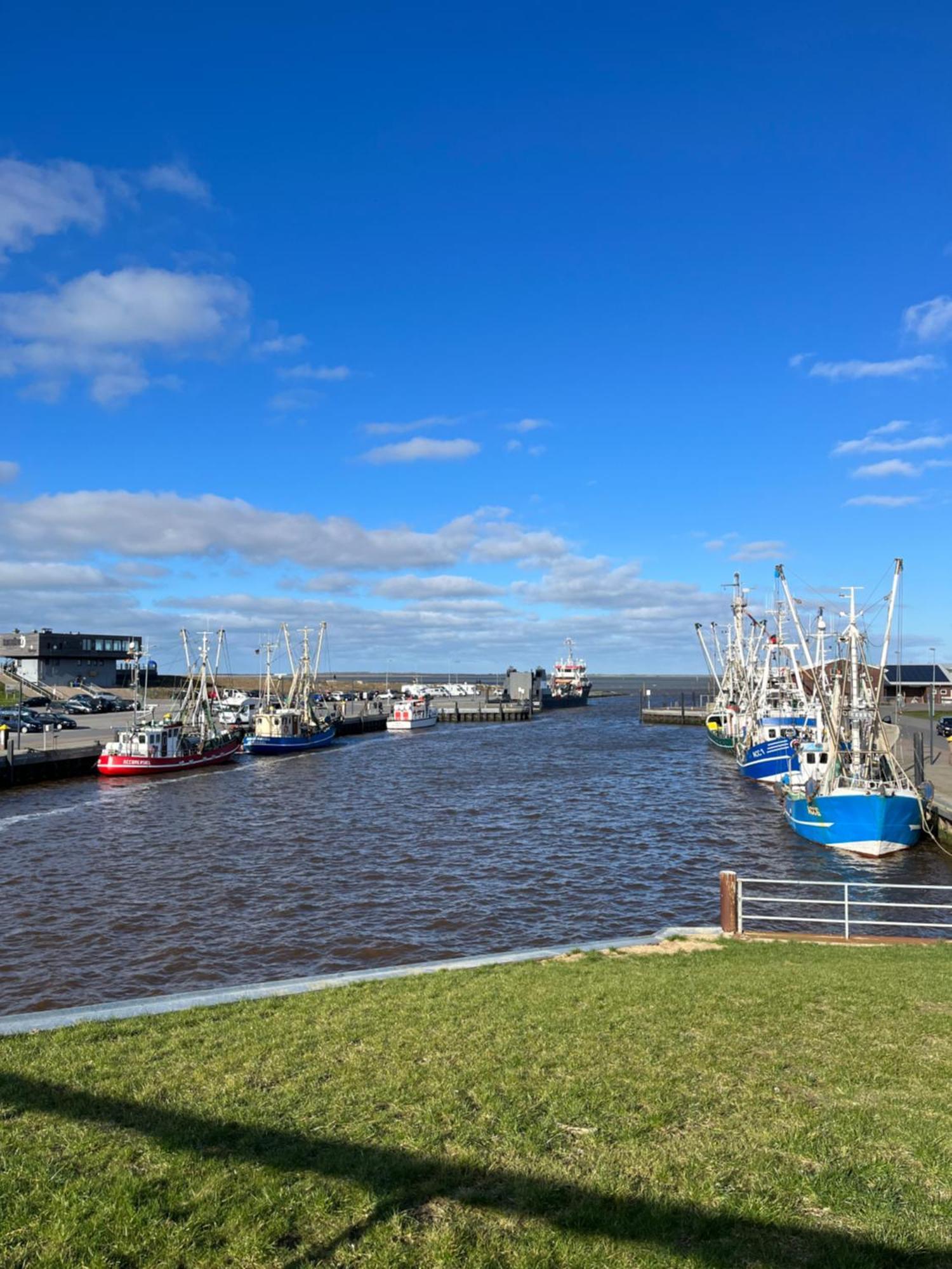 Meerblick - Blaue Nordseewelle Apartment Dornumersiel